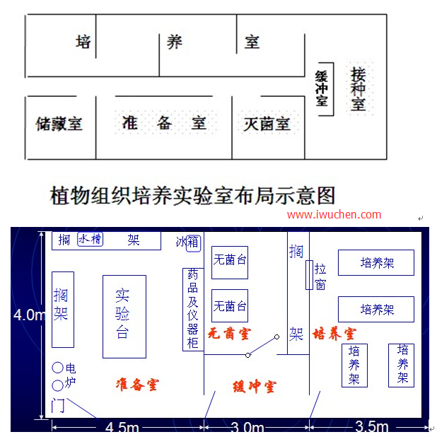 组织培养实验室布局图 组织培养实验室布局图
